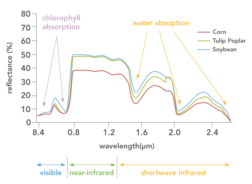 Reflectance chart of light.